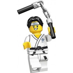 LEGO® Series 20 - Martial Arts Boy - 71027