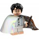 LEGO® Harry Potter Series - Harry Potter (Invisibility Cloak) - 71022