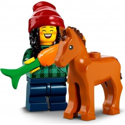 LEGO® Minifig Series 22 - Horse and Groom - 71032