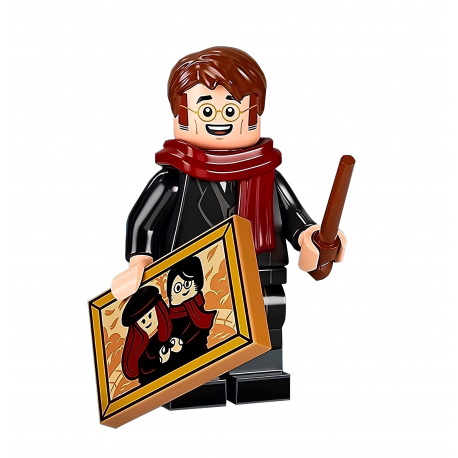 LEGO® Harry Potter Série 2- James Potter Minifigure 71028