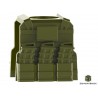 Reversable Vest with PMags and clip (Military Green)